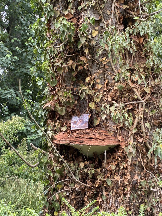 Der Engel vom Raffelbergpark